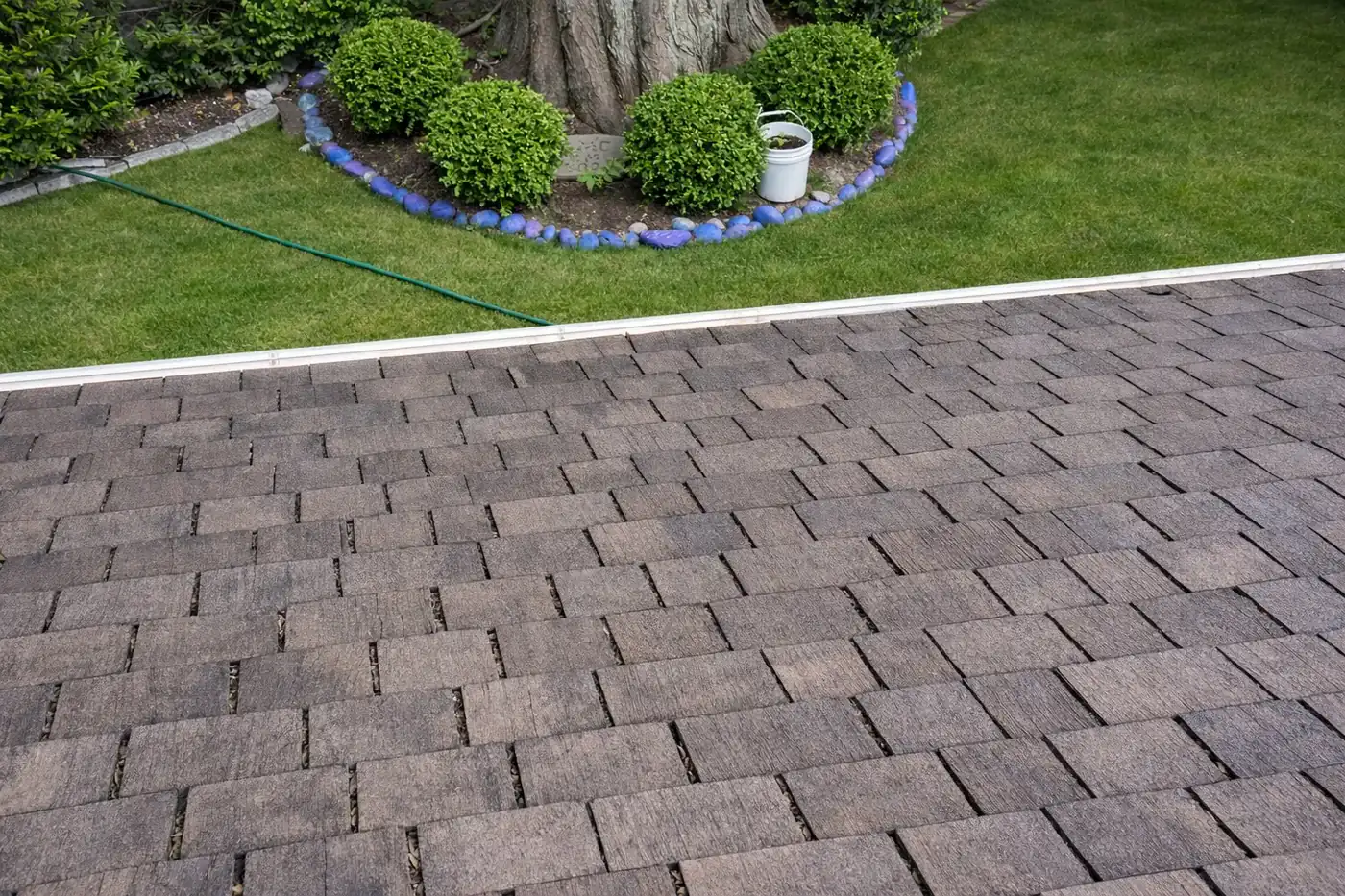 Ideal Pro roof moss care result