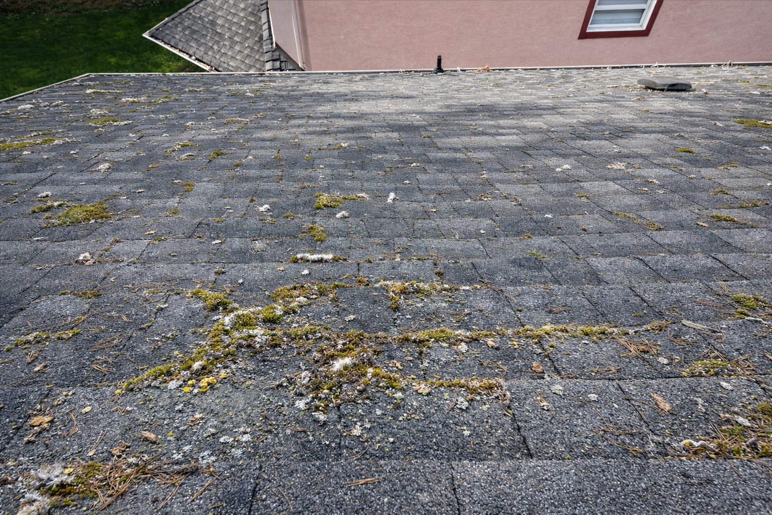 Mossy roof before soft wash